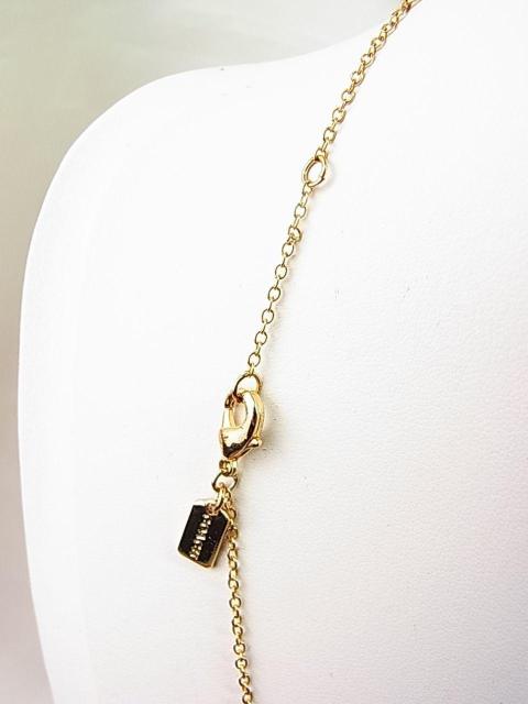 500~X^KCOACH@R[`@CXg[lHp[lbNX