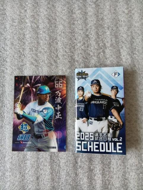  t@C^[YgJ @ g@@ gJIQRR[ht@ 񔄕iAVi@ gJ  W[/X|[c 