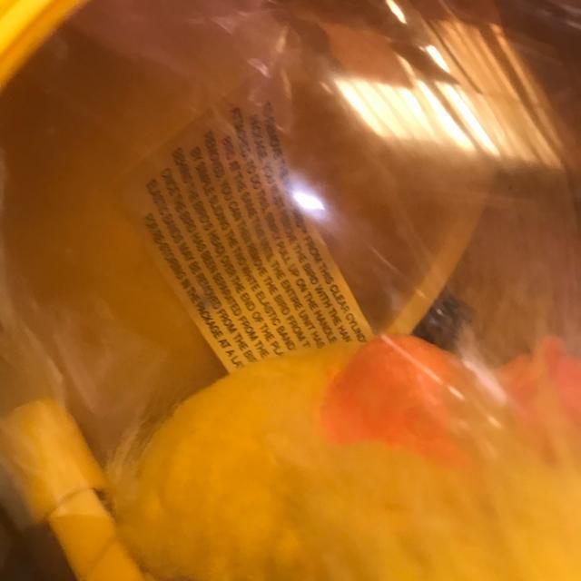 A 1992 Word Bird Freaky Duck J l`  zr[ 