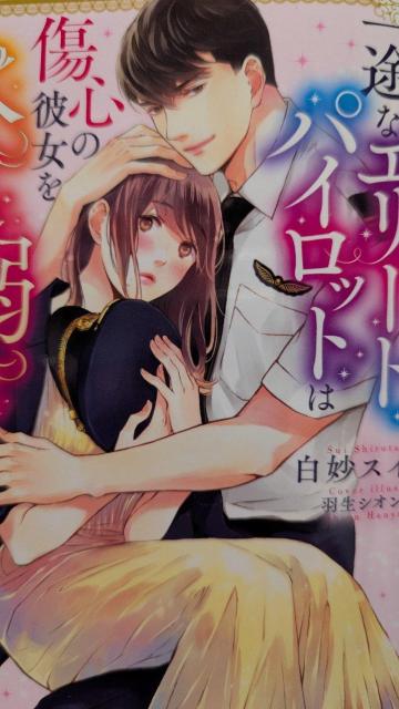 ��r�ȃG���[�g�p�C���b�g�͏��S�̔ޏ����i���M���ŕ�ݖ����������������X�C���}�[�}���[�h����  �� �{/�G���� 