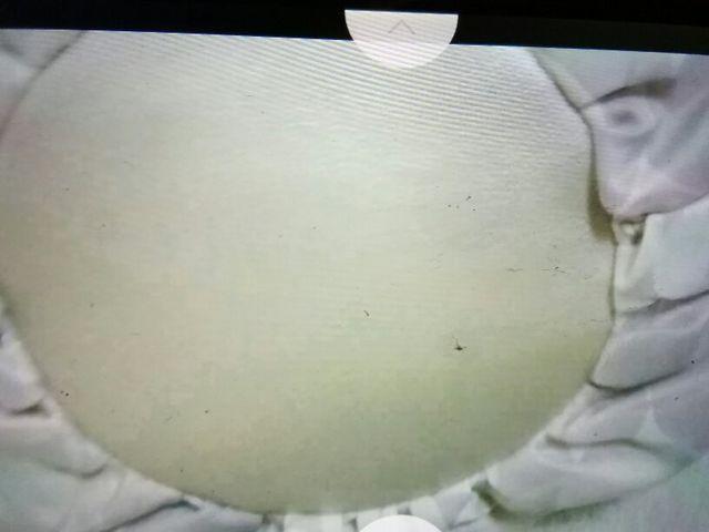 サボいトートバッグ < ブランド  サボいトートバッグ < ブランドの