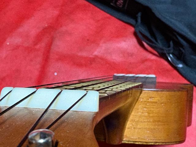 MAHALO EN@UK-220 \tgP[Xt@Ǖi@4559-05-1  zr[ 