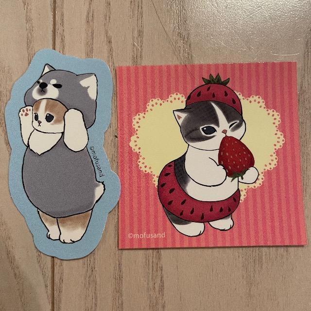 �o�Y�R�� ���t�T���h 8 14 �C�`�S � ������ ������� �V�[�� �X�e�b�J�[ ���t�T���h�V�[�� 