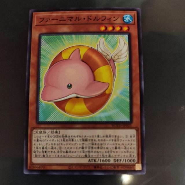 t@[jo htB   g[fBOJ[h 