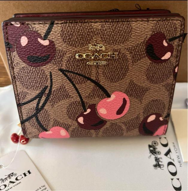 Vi COACH ܂z@~j  uh 