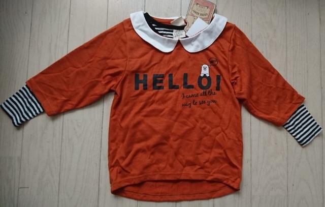 130GOOSE BERRYd˒gbvXQZbgVi   LbY/xr[ 