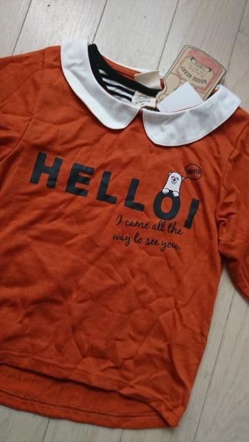 130GOOSE BERRYd˒gbvXQZbgVi  LbY/xr[ 