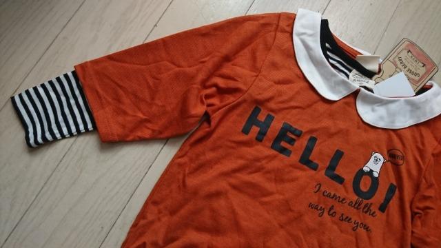 130GOOSE BERRYd˒gbvXQZbgVi  LbY/xr[ 