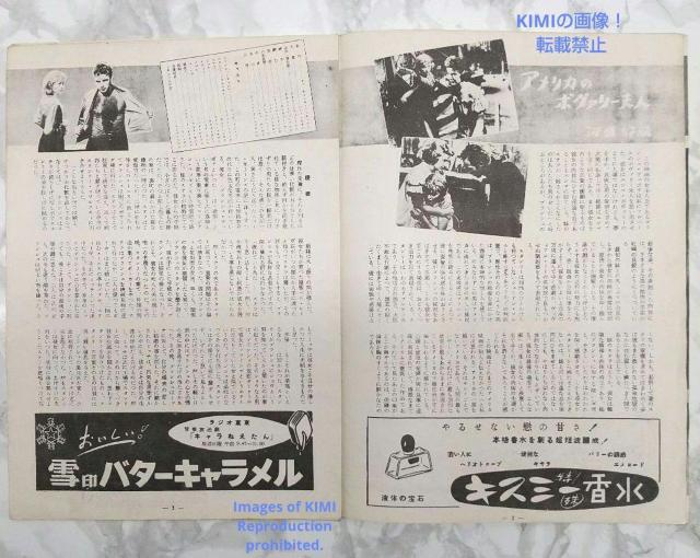 レア 映画パンフレット 欲望という名の電車 有楽座 1952年 昭和27年 < 本/雑誌  レア 映画パンフレット 欲望という名の電車 有楽座 1952年 昭和27年 < 本/雑誌の