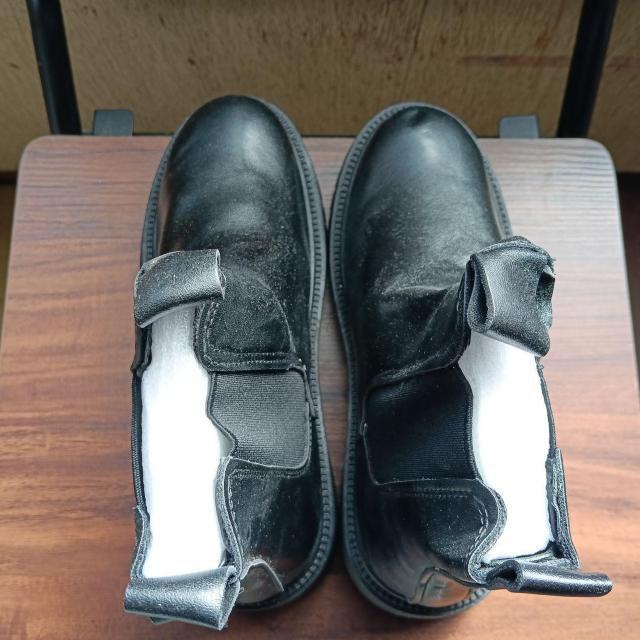 Vi 24cm fB[X u[c ubN  V[Y TChSA  t@bV 