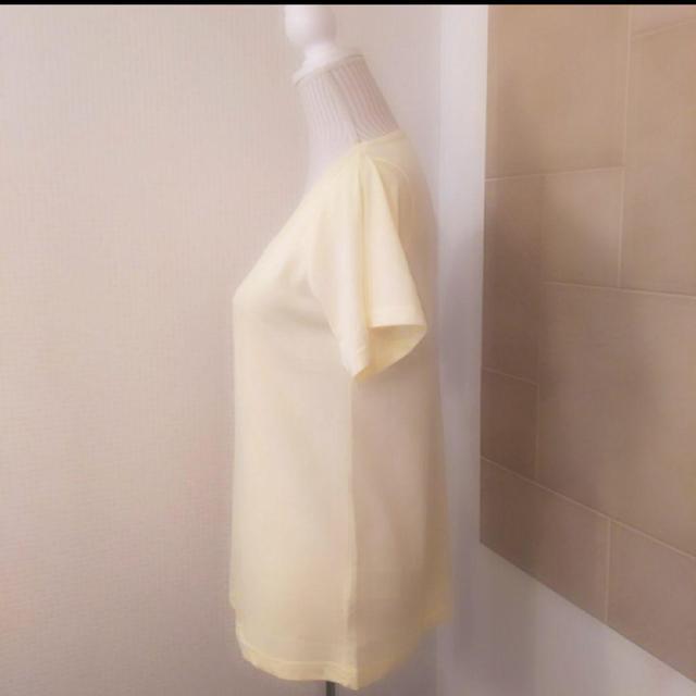 �V�i�^�O�t�� �C�G���[T�V���c