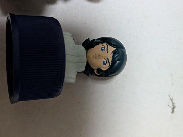 �K���_���{�g���L���b�v�t�B�M���A �� �z�r�[�� 