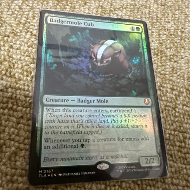 MTG FOIL �A�i�O�}���O���̎e  �� �g���[�f�B���O�J�[�h�� 
