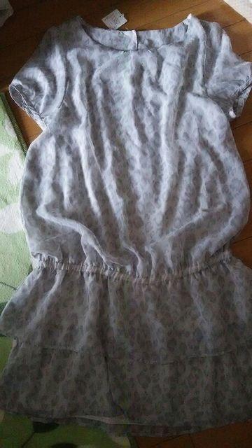 Aj}Vo[HO[ny݁z  t@bV 