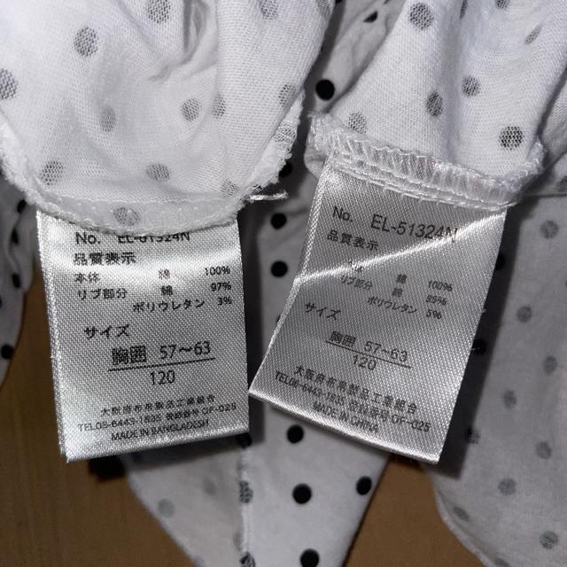 LbY ̎q TVc 120p 2Zbg