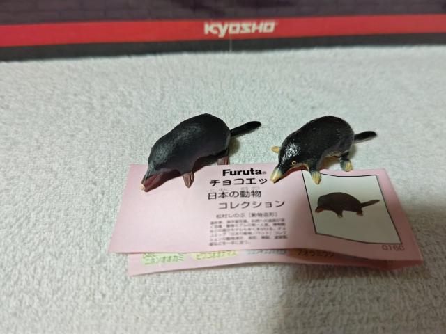 t^ {̓1 NVbN  q~Y   zr[ 