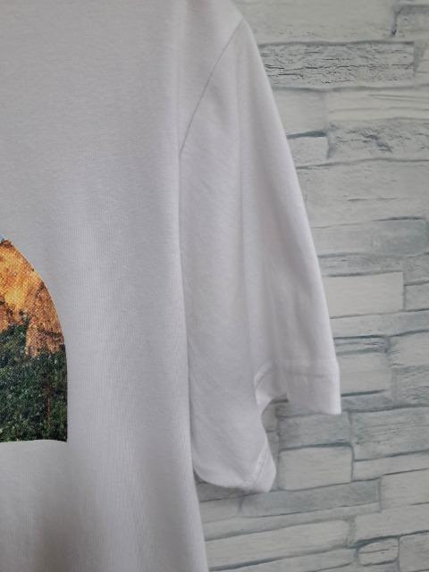 THE NORTH FACE U m[XtFCX vg S TVc/Y/MV샂f  uh 