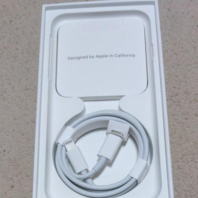 iPhoneSE񐢑  Ɠd/AV 