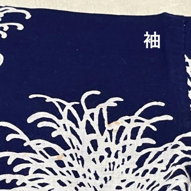  Z { D e Z 䒷 䂩 p ~Ă CN nhCh ޗ  t@bV 