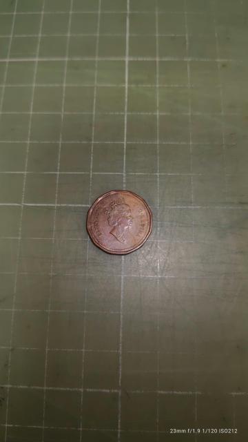 カナダ1硬貨(1992)♪ < ホビー カナダ1硬貨(1992)♪ < ホビーの