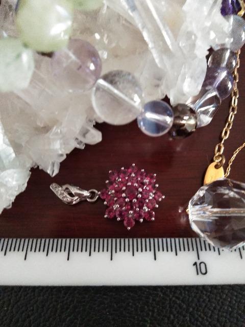 �V�R�΂̕��� �� �����A�N�Z�T���[/���v�� 