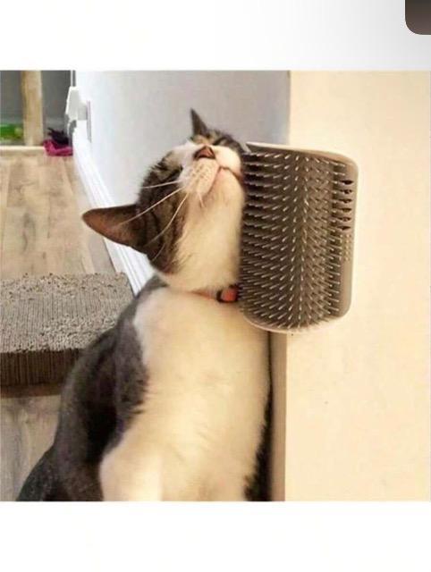 Lp ObY lR XgXZtO[~OuV 1 ю }bT[WuV lR O[  ybg/|/| 