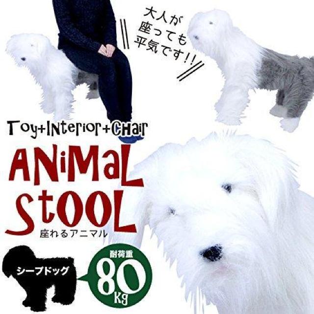 lqAj}`FABIG A NIeB CX `FA CeA SNS /V[vhbO   CeA/Ct 