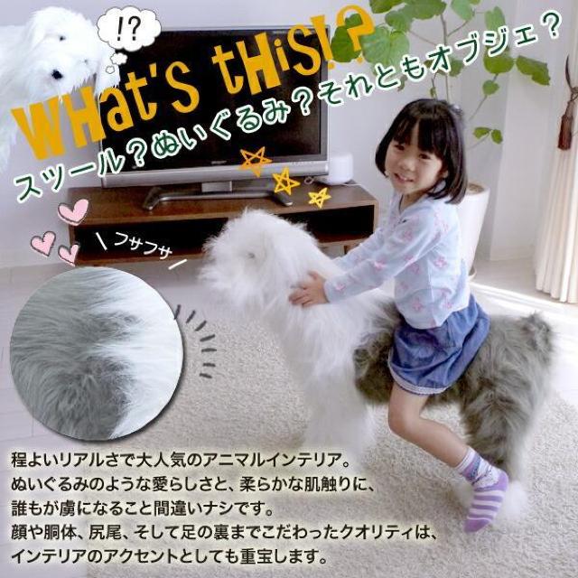 lqAj}`FABIG A NIeB CX `FA CeA SNS /V[vhbO  CeA/Ct 