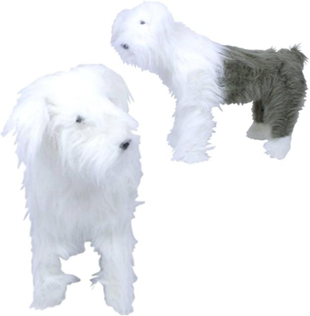 lqAj}`FABIG A NIeB CX `FA CeA SNS /V[vhbO  CeA/Ct 