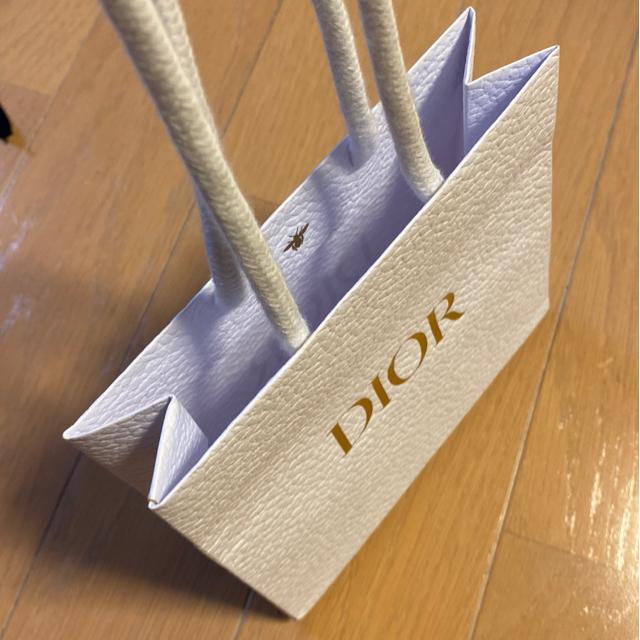 DIORfBI[̏ߎ/~jVbvobO/Ki  uh 