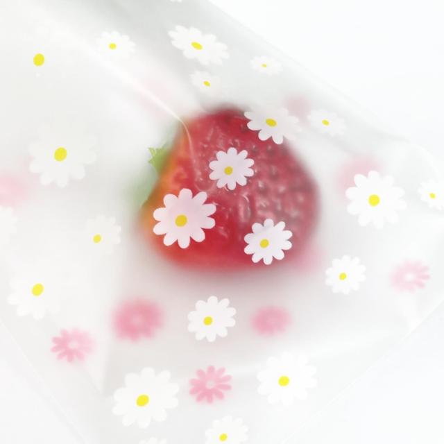 ����OPP��*5���@84 �� �C���e���A/���C�t�� 