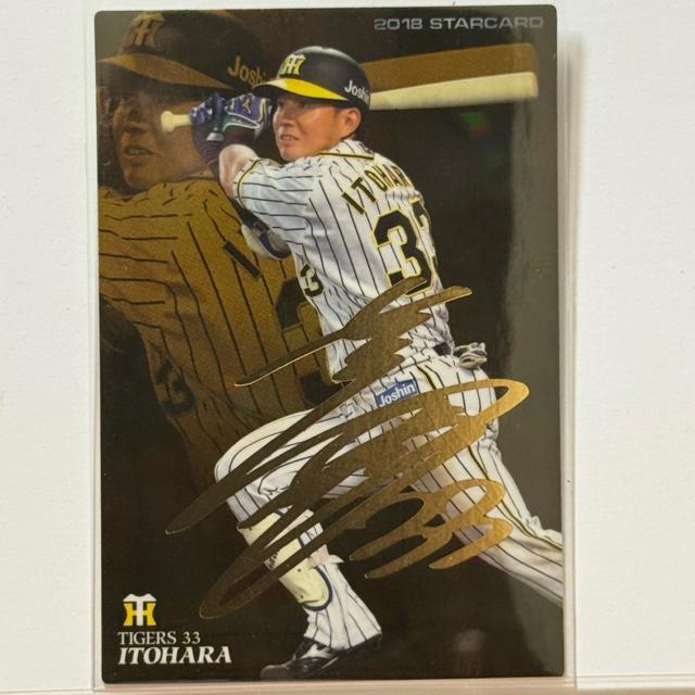 yTCJ[h66z l v싅`bvX 2018 _^CK[X   g[fBOJ[h 