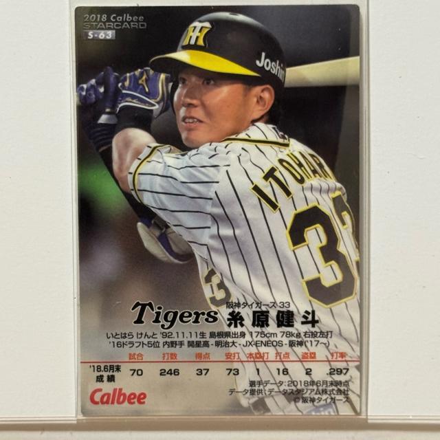 yTCJ[h66z l v싅`bvX 2018 _^CK[X  g[fBOJ[h 