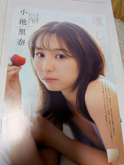 ���r���ޓ��̎G���؂蔲��  �� �^�����g�O�b�Y�� 