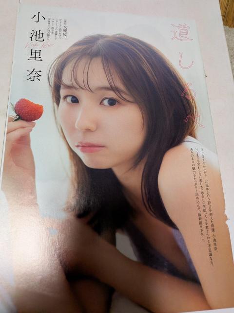 ���r���ޓ��̎G���؂蔲�� �� �^�����g�O�b�Y�� 