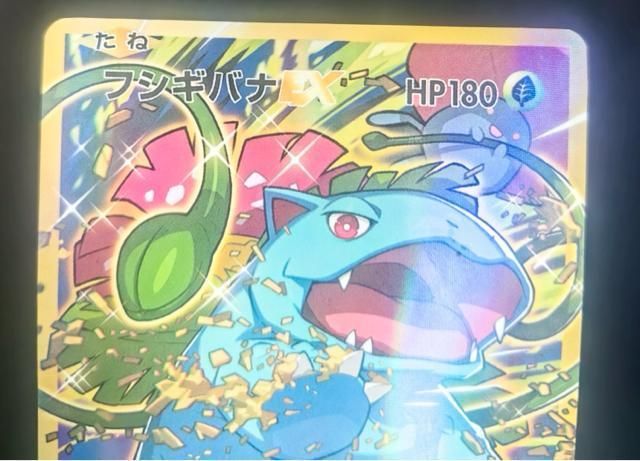 �t�V�M�o�iEX SR CP6 088/087 20th 1ED �����Ƃ��Ȃ��� �|�P�J �� �g���[�f�B���O�J�[�h�� 