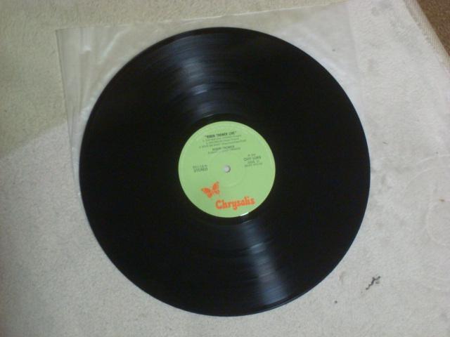 CuI / rEg[ ѕtLP@@J[|X^[t @vREn  CD/DVD/rfI 