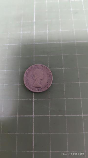 CMX6yXd݁i1960j  zr[ 