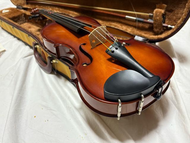 Artisan ���@�C�I�����@���f��YV-02  4/4 �Ǖi1915-04-1 �� �z�r�[�� 