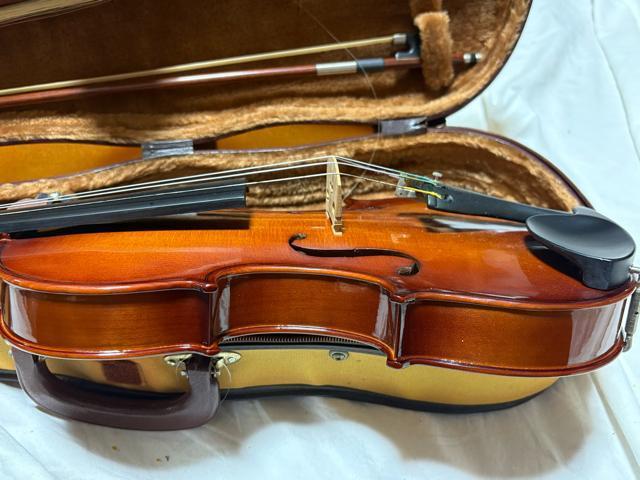 Artisan ���@�C�I�����@���f��YV-02  4/4 �Ǖi1915-04-1 �� �z�r�[�� 