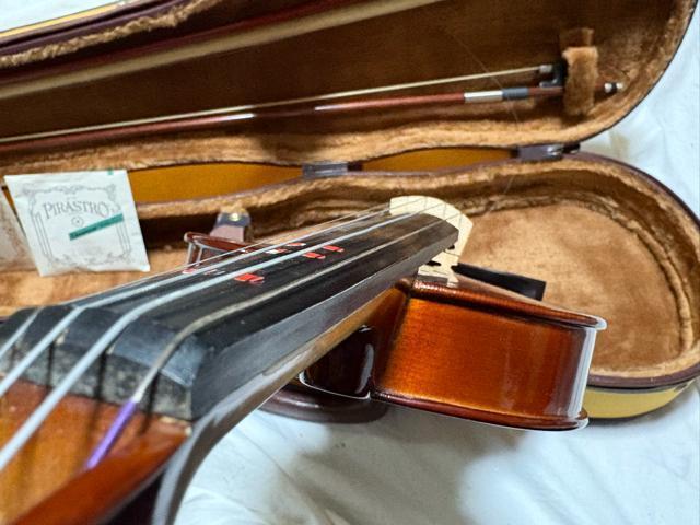 Artisan ���@�C�I�����@���f��YV-02  4/4 �Ǖi1915-04-1 �� �z�r�[�� 