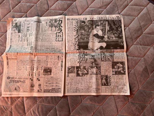 �C�V�����t�q���񎀖S�̐V�� �f�C���[�X�|�[�c�V�� �V�i���g�p�i ���荢�� ! �B �� �z�r�[�� 