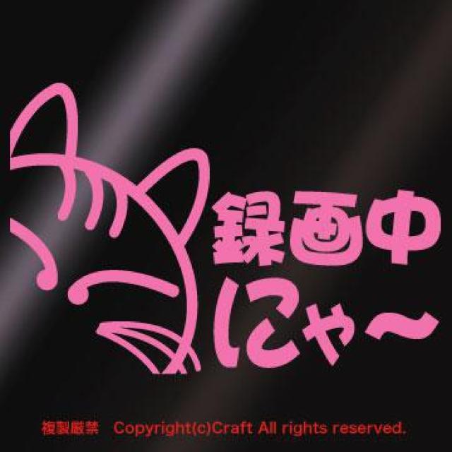 ^撆ɂ`/XebJ[iCgsN/lRjhRځAhCuR[_[  /oCN