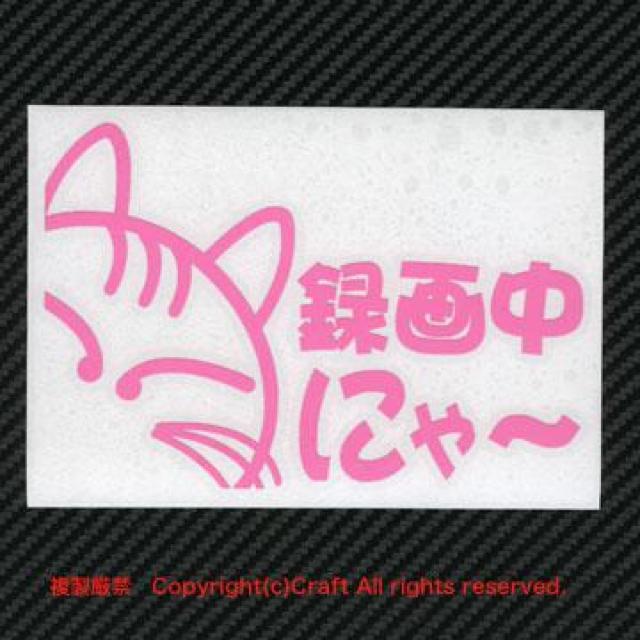 ^撆ɂ`/XebJ[iCgsN/lRjhRځAhCuR[_[  /oCN