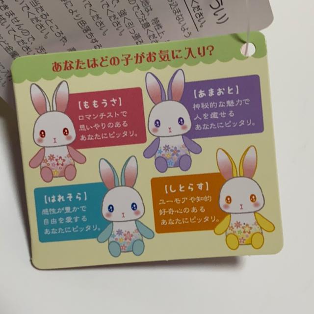 夢うさちゃん☆フラワーぬいぐるみ < おもちゃ  夢うさちゃん☆フラワーぬいぐるみ < おもちゃの