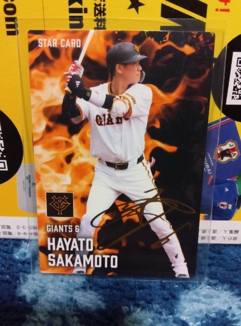 v싅`bvX2025 e@{   g[fBOJ[h 