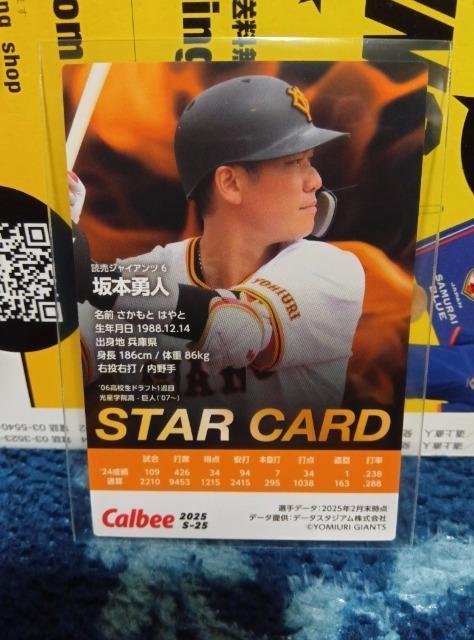 v싅`bvX2025 e@{  g[fBOJ[h 