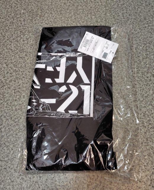 I}NXvX YF-19/YF-21 V_[g[gobO ubN  Aj/R~bN/LN^[ 