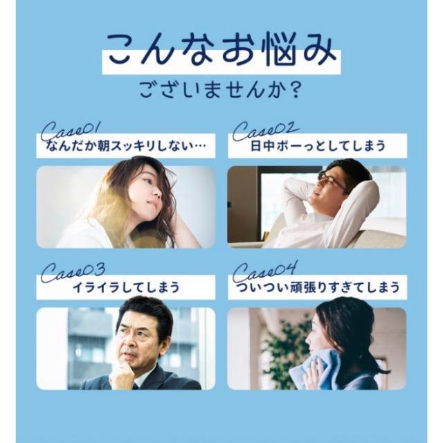 GABA ギャバ サプリメント 約3ヵ月分 健康食品 < グルメ/ドリンク GABA ギャバ サプリメント 約3ヵ月分 健康食品 < グルメ/ドリンクの