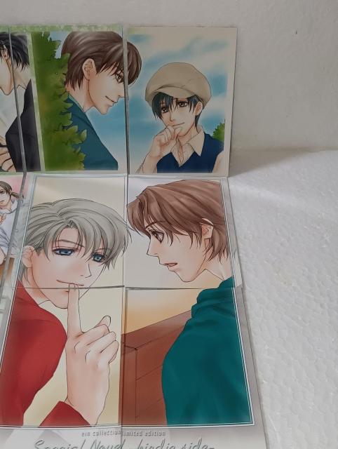 birdie�@�ڂ���̗����S���w�@�p�Y���J�[�h �����G���J�[�h �� �A�j��/�R�~�b�N/�L�����N�^�[�� 